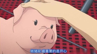 火狐电竞平台
