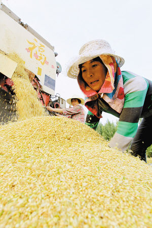 新合九义校隆重举行第八届校园文化艺体节活动“火狐电竞平台”(图2) 火狐电竞平台